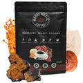 Mount Mystic Functional Mushroom Coffee – Premium Instant Arabica Coffee Blend with Lion’s Mane, Reishi, Chaga & Cordyceps for Focus, Energy & Immunity + Himalayan Shilajit  – 30 Servings