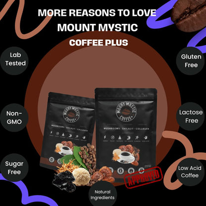 Mount Mystic Functional Mushroom Coffee – Premium Instant Arabica Coffee Blend with Lion’s Mane, Reishi, Chaga & Cordyceps for Focus, Energy & Immunity + Himalayan Shilajit  – 30 Servings