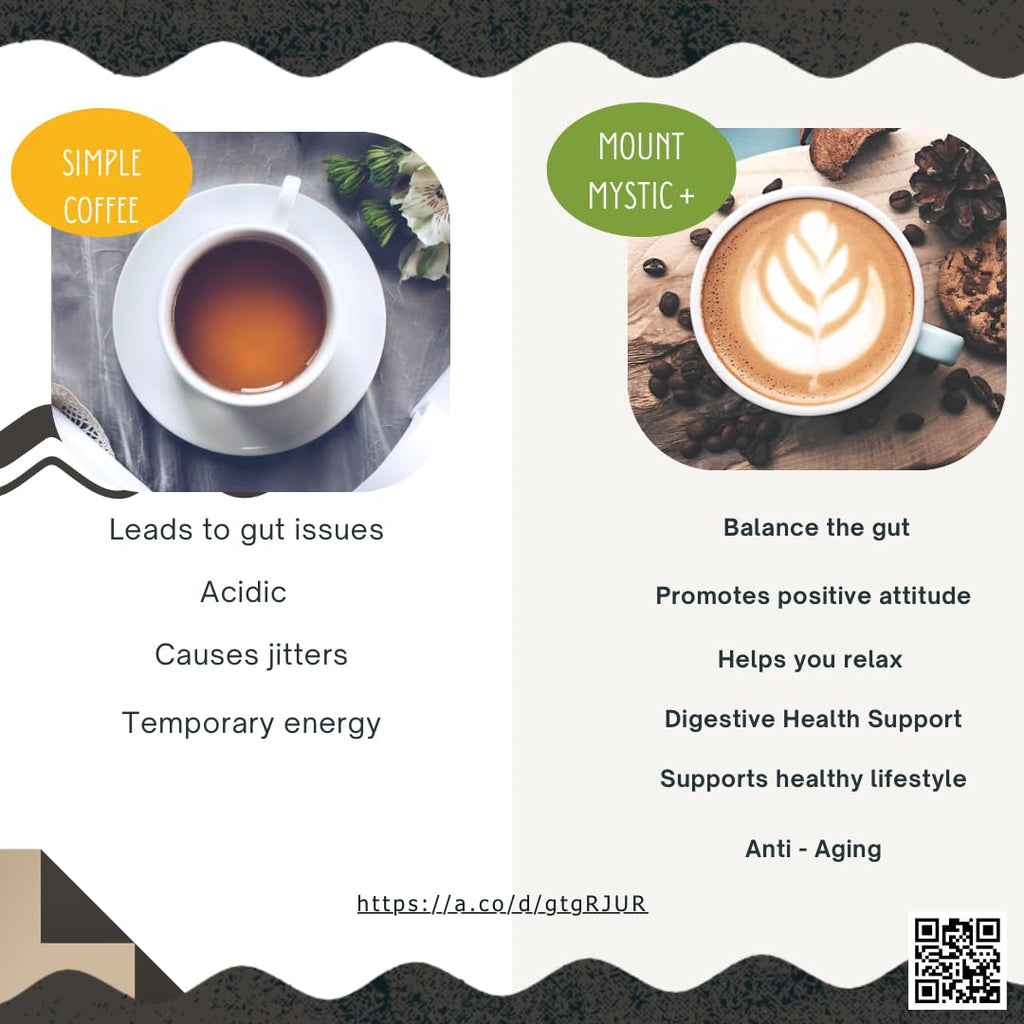 Mount Mystic Functional Mushroom Coffee – Premium Instant Arabica Coffee Blend with Lion’s Mane, Reishi, Chaga & Cordyceps for Focus, Energy & Immunity + Himalayan Shilajit  – 30 Servings